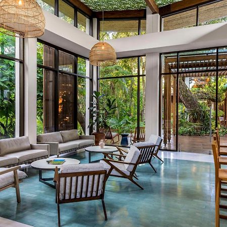 Botanika Osa Peninsula, Curio Collection By Hilton Hotell Puerto Jiménez Eksteriør bilde