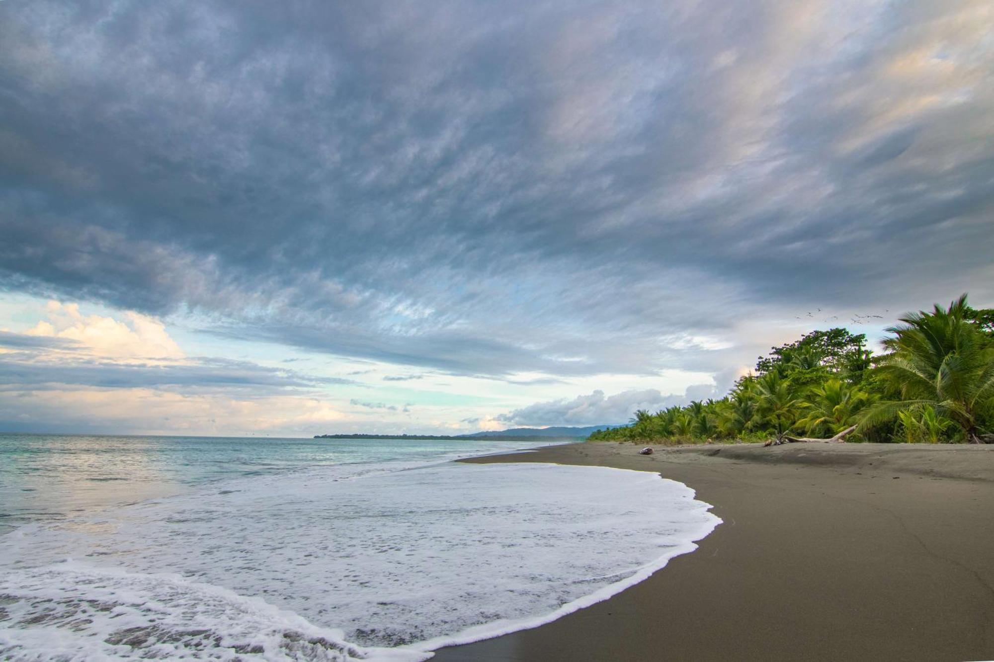 Botanika Osa Peninsula, Curio Collection By Hilton Hotell Puerto Jiménez Eksteriør bilde