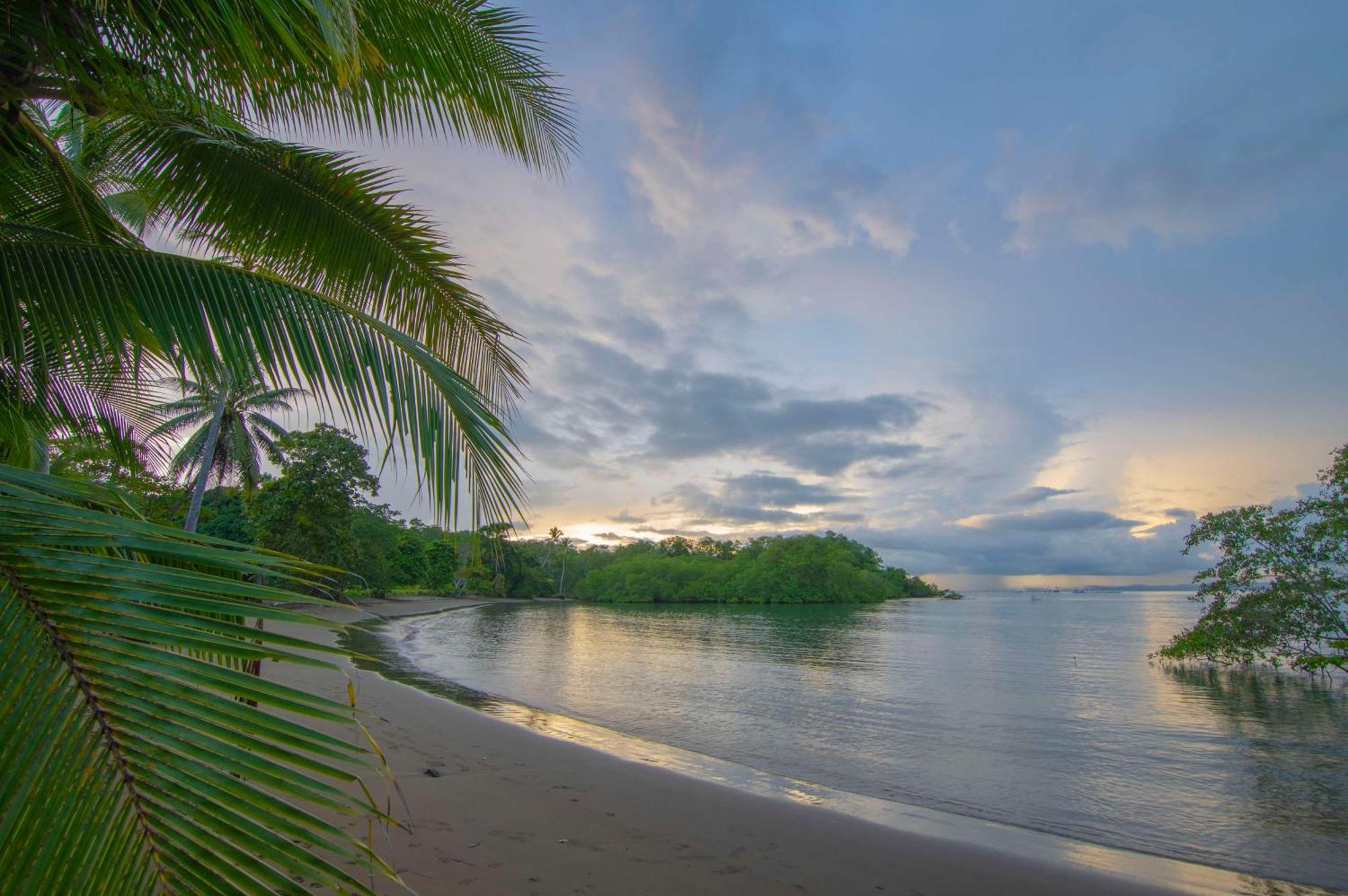Botanika Osa Peninsula, Curio Collection By Hilton Hotell Puerto Jiménez Eksteriør bilde