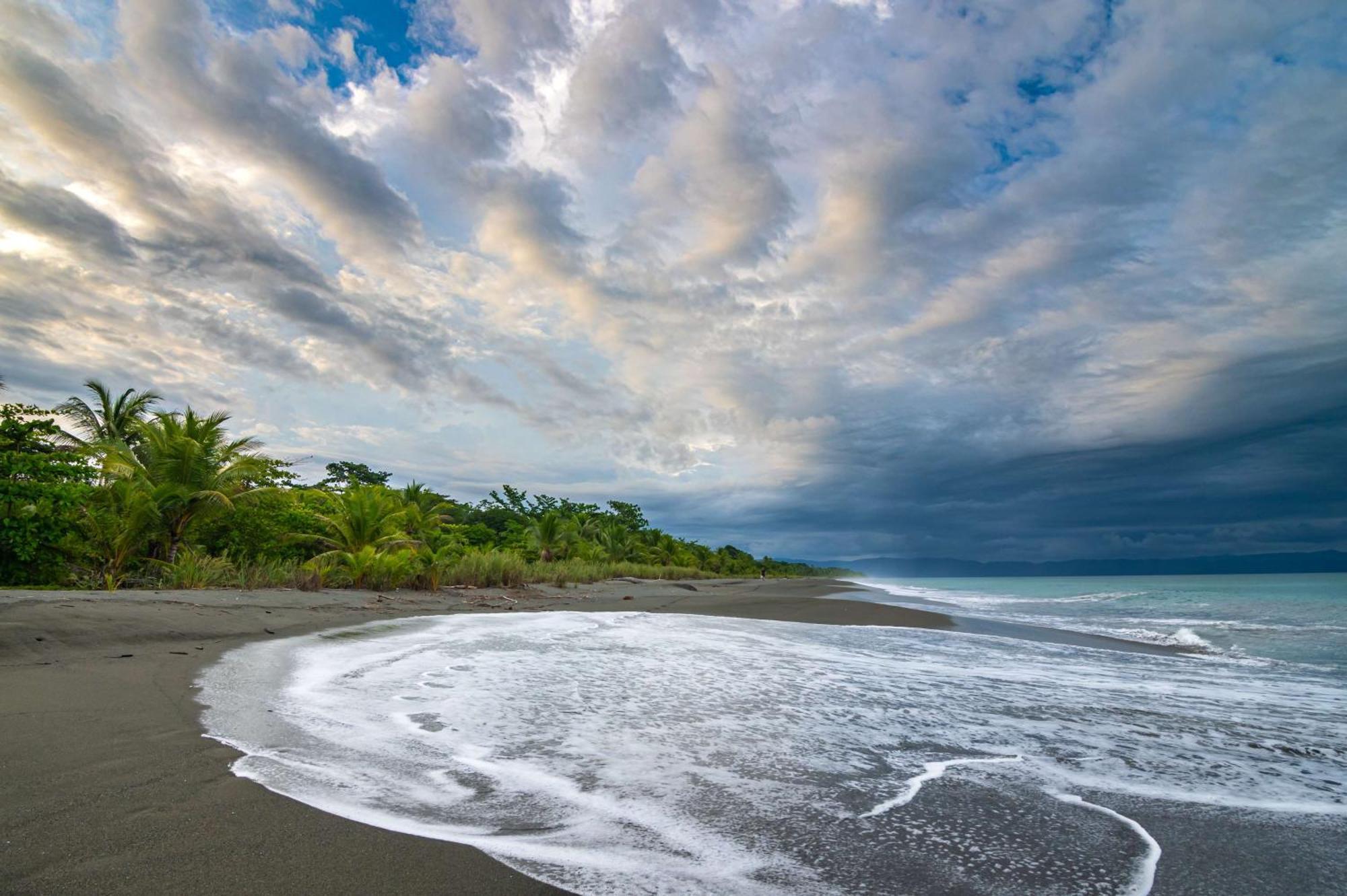 Botanika Osa Peninsula, Curio Collection By Hilton Hotell Puerto Jiménez Eksteriør bilde