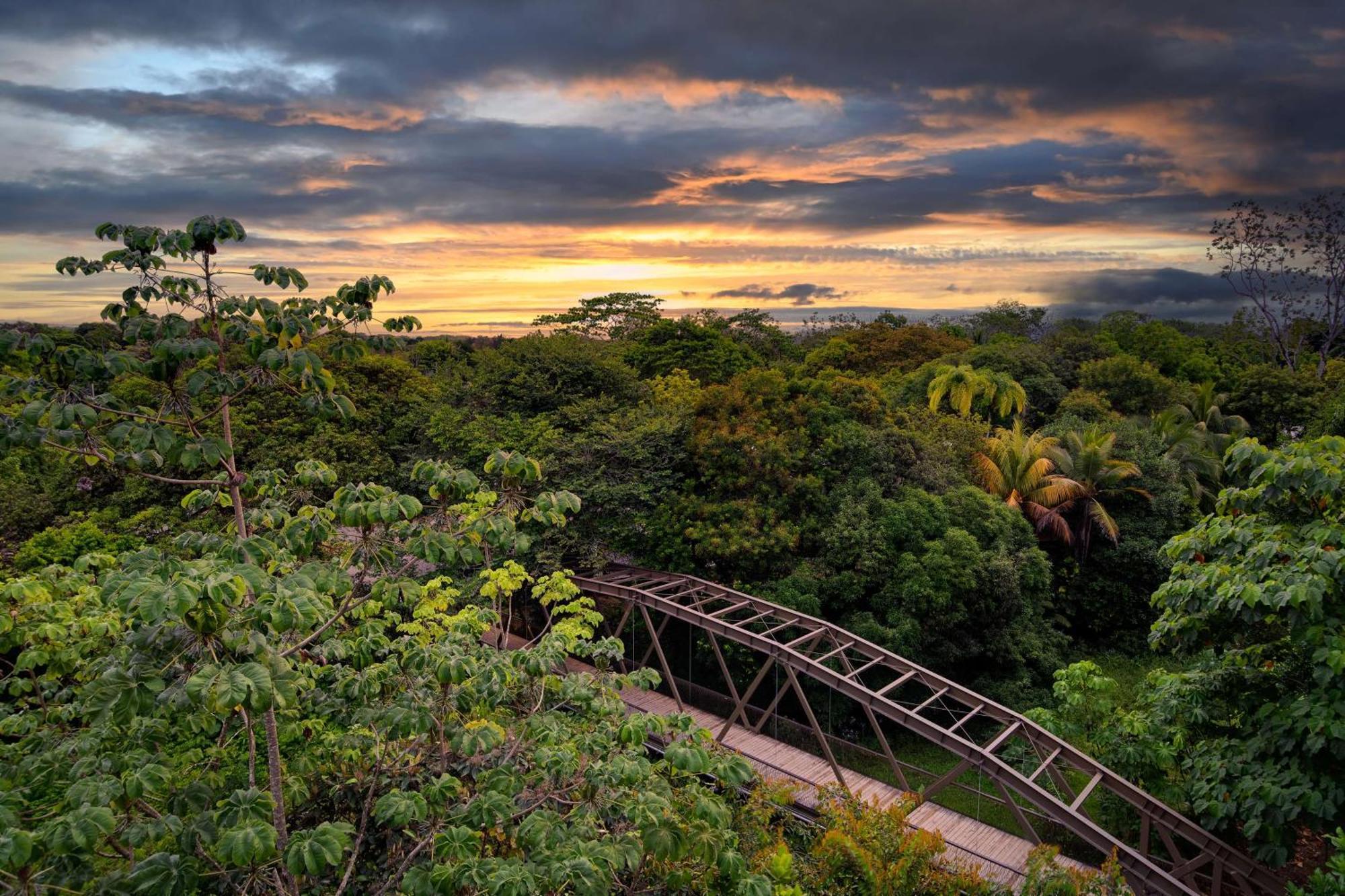 Botanika Osa Peninsula, Curio Collection By Hilton Hotell Puerto Jiménez Eksteriør bilde